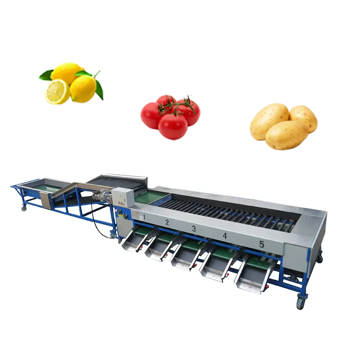 Selezionatrice per frutta